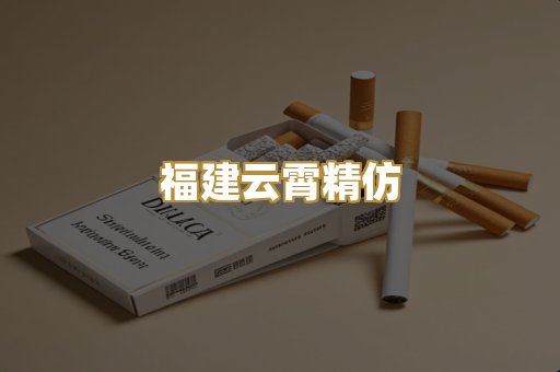 福建云霄精仿